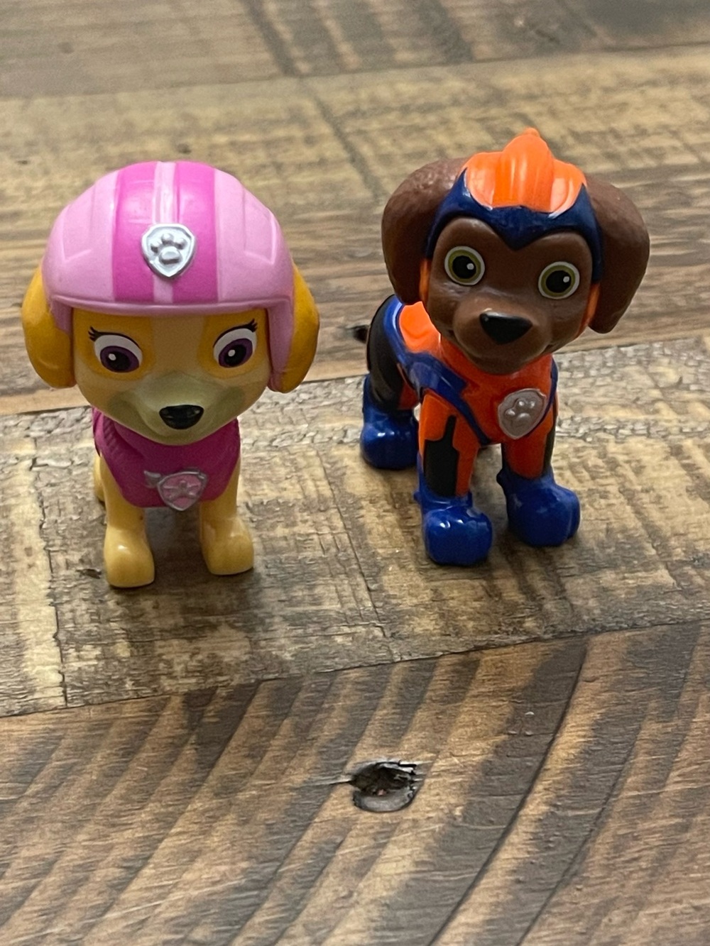 Paw Patrol Rescue Pups action figures featuring Zuma and Skye.